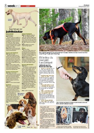 aftonbladet_we-20220828_000_00_00_008.pdf