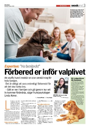 aftonbladet_we-20221002_000_00_00_003.pdf