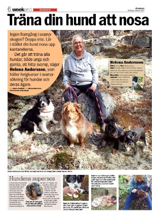 aftonbladet_we-20221002_000_00_00_006.pdf