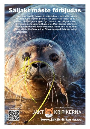 aftonbladet_we-20221124_000_00_00_011.pdf