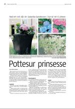agderposten_sec2-20080909_000_00_00_022.pdf