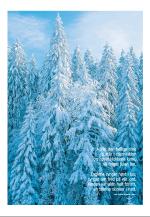 agderposten_sec2-20081224_000_00_00_048.pdf
