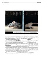 agderposten_sec2-20090106_000_00_00_004.pdf