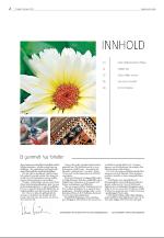 agderposten_sec2-20090203_000_00_00_002.pdf