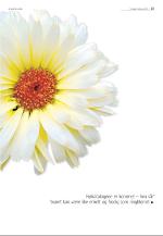 agderposten_sec2-20090203_000_00_00_023.pdf