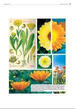 agderposten_sec2-20090203_000_00_00_025.pdf