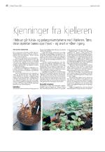 agderposten_sec2-20090217_000_00_00_020.pdf
