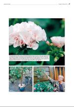 agderposten_sec2-20090217_000_00_00_021.pdf