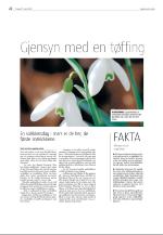 agderposten_sec2-20090317_000_00_00_022.pdf
