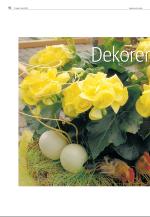 agderposten_sec2-20090407_000_00_00_010.pdf