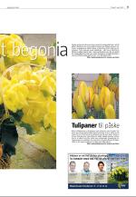 agderposten_sec2-20090407_000_00_00_011.pdf