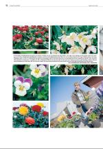 agderposten_sec2-20090414_000_00_00_018.pdf