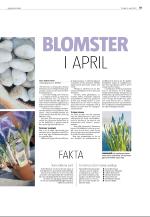 agderposten_sec2-20090414_000_00_00_019.pdf