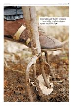 agderposten_sec2-20090421_000_00_00_015.pdf
