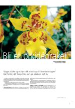 agderposten_sec2-20090424_000_00_00_023.pdf