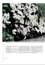 agderposten_sec2-20090424_000_00_00_024.pdf