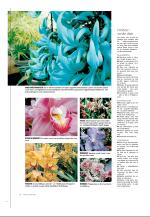 agderposten_sec2-20090424_000_00_00_026.pdf