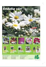 agderposten_sec2-20090424_000_00_00_033.pdf