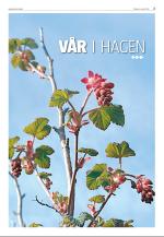 agderposten_sec2-20090505_000_00_00_003.pdf