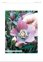 agderposten_sec2-20090505_000_00_00_005.pdf