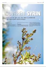 agderposten_sec2-20090512_000_00_00_021.pdf