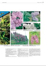agderposten_sec2-20090512_000_00_00_023.pdf