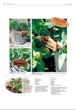 agderposten_sec2-20090519_000_00_00_006.pdf