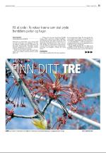 agderposten_sec2-20090602_000_00_00_035.pdf