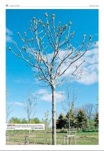 agderposten_sec2-20090602_000_00_00_036.pdf