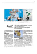 agderposten_sec2-20090602_000_00_00_037.pdf