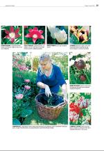 agderposten_sec2-20090609_000_00_00_029.pdf
