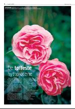 agderposten_sec2-20090721_000_00_00_004.pdf