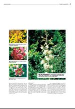agderposten_sec2-20090811_000_00_00_005.pdf
