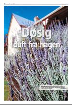 agderposten_sec2-20090818_000_00_00_038.pdf