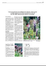 agderposten_sec2-20090818_000_00_00_039.pdf