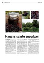 agderposten_sec2-20090915_000_00_00_026.pdf
