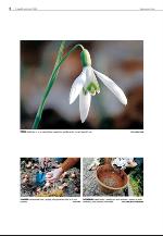 agderposten_sec2-20090922_000_00_00_004.pdf