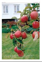 agderposten_sec2-20091006_000_00_00_003.pdf