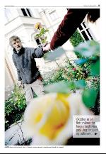 agderposten_sec2-20091013_000_00_00_015.pdf