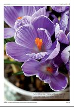 agderposten_sec2-20100316_000_00_00_003.pdf