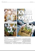agderposten_sec2-20100316_000_00_00_004.pdf