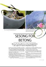 agderposten_sec2-20100423_000_00_00_028.pdf