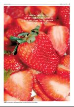 agderposten_sec2-20100427_000_00_00_003.pdf