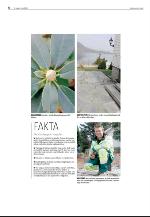 agderposten_sec2-20100504_000_00_00_006.pdf