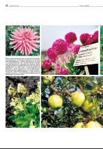 agderposten_sec2-20100601_000_00_00_038.pdf