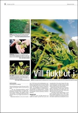 agderposten_sec2-20100608_000_00_00_056.pdf