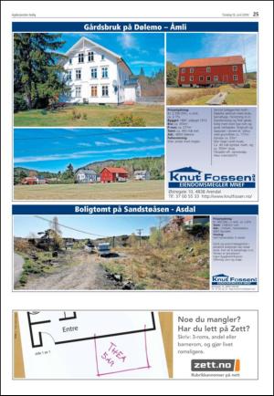 agderposten_sec2-20100615_000_00_00_025.pdf