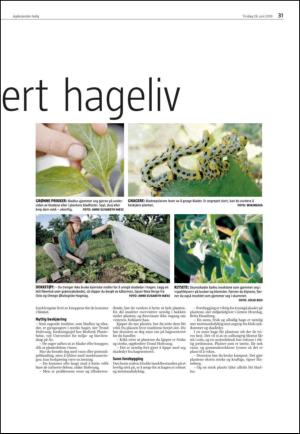 agderposten_sec2-20100629_000_00_00_031.pdf