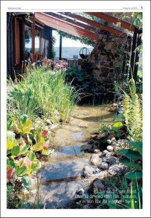 agderposten_sec2-20100720_000_00_00_003.pdf