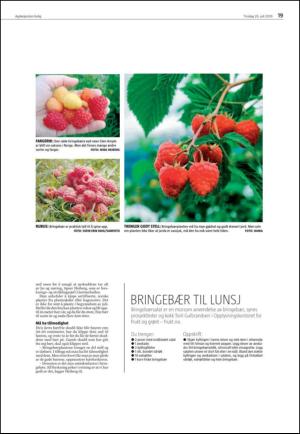 agderposten_sec2-20100720_000_00_00_019.pdf